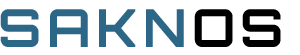 https://www.cdgw.de/wp-content/uploads/2026/07/SAKNOS-Online-Services.png